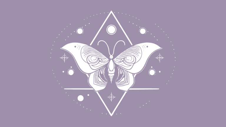 Intuitive coach